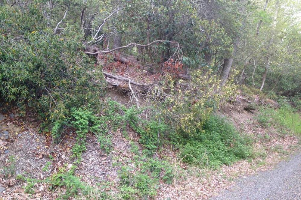 Fox Trot Cabin